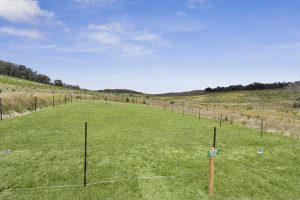 1/61 MOUNT PEDLER ROAD, MIDDLE ARM, NSW 2580 AUS